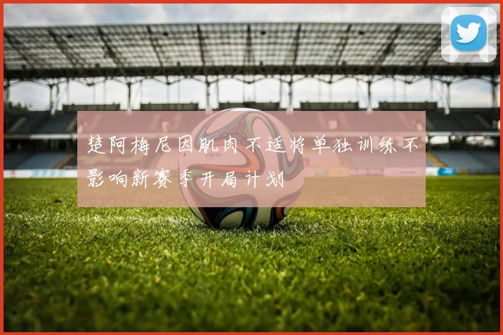 楚阿梅尼因肌肉不适将单独训练不影响新赛季开局计划