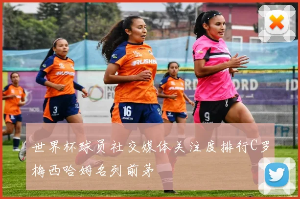 世界杯球员社交媒体关注度排行C罗梅西哈姆名列前茅