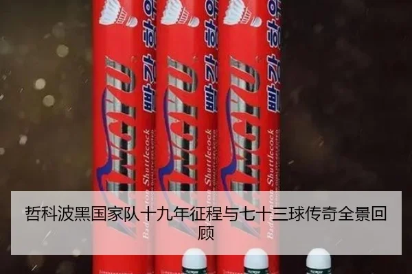哲科波黑国家队十九年征程与七十三球传奇全景回顾